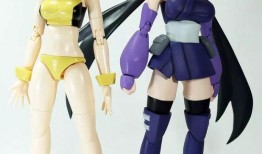 女忍在线观看,隐秘世界中的神秘力量