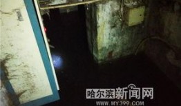 哈尔滨地下室爆料视频,惊曝惊人真相！