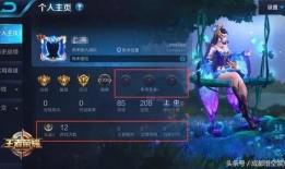 小茶堂王者爆料视频大全,揭秘幕后精彩瞬间