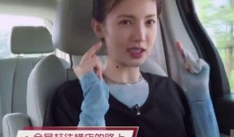 金晨综艺爆料视频,揭秘娱乐圈幕后故事