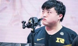 圈内大佬爆料flandre,圈内大佬揭秘神秘生成背后的故事