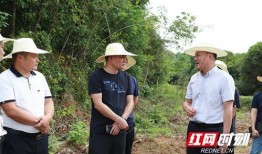 黄兴镇最新爆料新闻,揭秘事件背后惊人真相