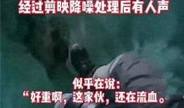 南京锤子爆料事件视频,视频揭露惊人真相