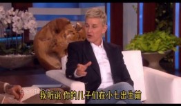 是谁爆料小贝的视频