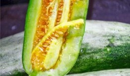 网红广东吃瓜,揭秘美食背后的故事与趣味