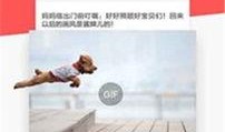 晚安头条最新爆料新闻,最新爆料新闻背后的惊人真相