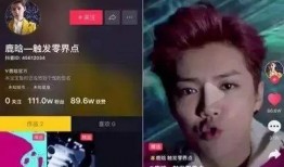 抖音爆料鹿晗事件视频播放,真相揭秘引热议