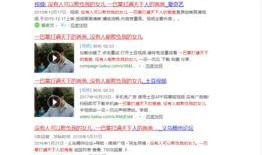 在哪搜索娱乐爆料呢视频,热门视频搜索攻略