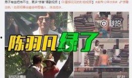 卓伟爆料小鲜肉视频,娱乐圈再掀风波