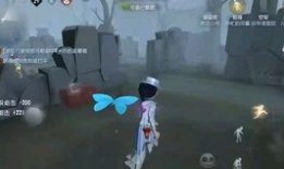 黄衣男子爆料视频大全下载,真相与争议交织