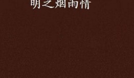 烟雨情 在线观看,穿越时空的浪漫邂逅