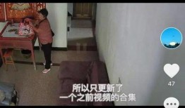 深圳网民孙女爆料视频,揭秘背后惊人真相