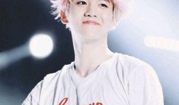 边伯贤圈内爆料视频,独家爆料视频大公开