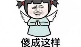文字爆料段子搞笑视频大全,搞笑视频大全，笑出腹肌的欢乐时光