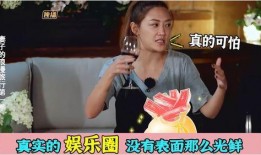 明星爆料事情真实吗视频,视频内容真实性深度剖析