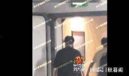 刘大锤爆料冯绍峰视频,揭秘明星幕后生活