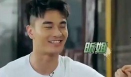 郑凯家庭爆料视频,揭秘明星家庭生活点滴