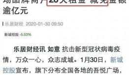 宁夏房租减半最新爆料,半价租住，惠及民生新举措