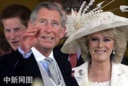 查尔斯爆料视频大全下载,揭秘不为人知的幕后真相