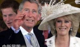 查尔斯爆料视频大全下载,揭秘不为人知的幕后真相