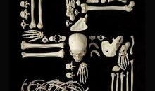 人骨拼图在线观看,揭秘古代谜团，探寻生死奥秘