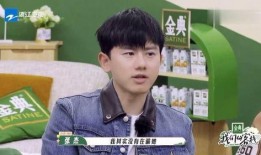 张杰杨迪爆料是真的吗视频,张杰杨迪爆料视频真实性揭秘