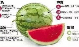 吃瓜微信免费吃瓜最新,免费吃瓜背后的秘密，吃瓜群众必看！