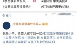中央美院爆料事件最新,真相与争议的交织
