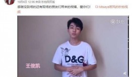 小七爆料视频大全,揭秘娱乐圈幕后故事