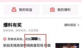 今日头条亲密爆料,亲密爆料背后的真相与内幕