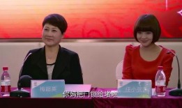 陕西儿媳妇爆料新闻报道,揭秘家庭矛盾背后的真相