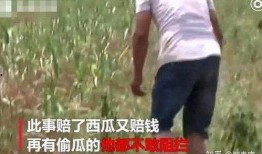 遂宁吃瓜最新事件爆料视频,最新爆料视频揭露惊人真相
