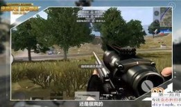 爆料素材视频在线观看,一窥事件背后真相