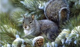 鼠宝宝过桥爆料视频大全,萌动瞬间，趣味横生