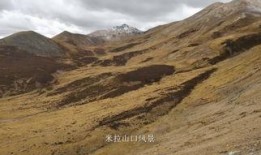 途观自驾游西藏最新爆料,途观自驾游最新爆料，一路风光无限