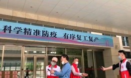 海丰爆料新闻,揭秘当地热点事件背后的真相