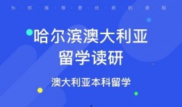 哈尔滨教育爆料视频,揭秘校园内幕，引发社会关注
