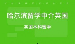 哈尔滨教育爆料视频,揭秘校园内幕，引发社会关注