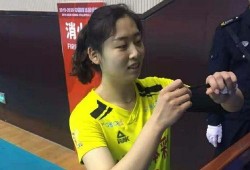 集训爆料女排视频大全,视频大全背后的拼搏与荣耀