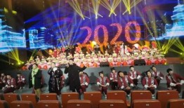 海城春晚爆料最新消息新闻,精彩节目抢先知，年度盛宴即将上演