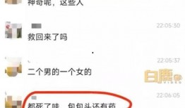 天鹅林场最新爆料,揭秘背后惊人真相