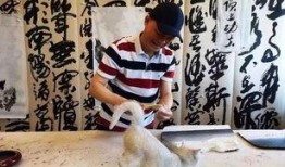 崔永元访谈爆料完整视频,揭秘娱乐圈黑幕与真相