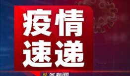 晚安头条最新爆料新闻,最新爆料新闻背后的惊人真相